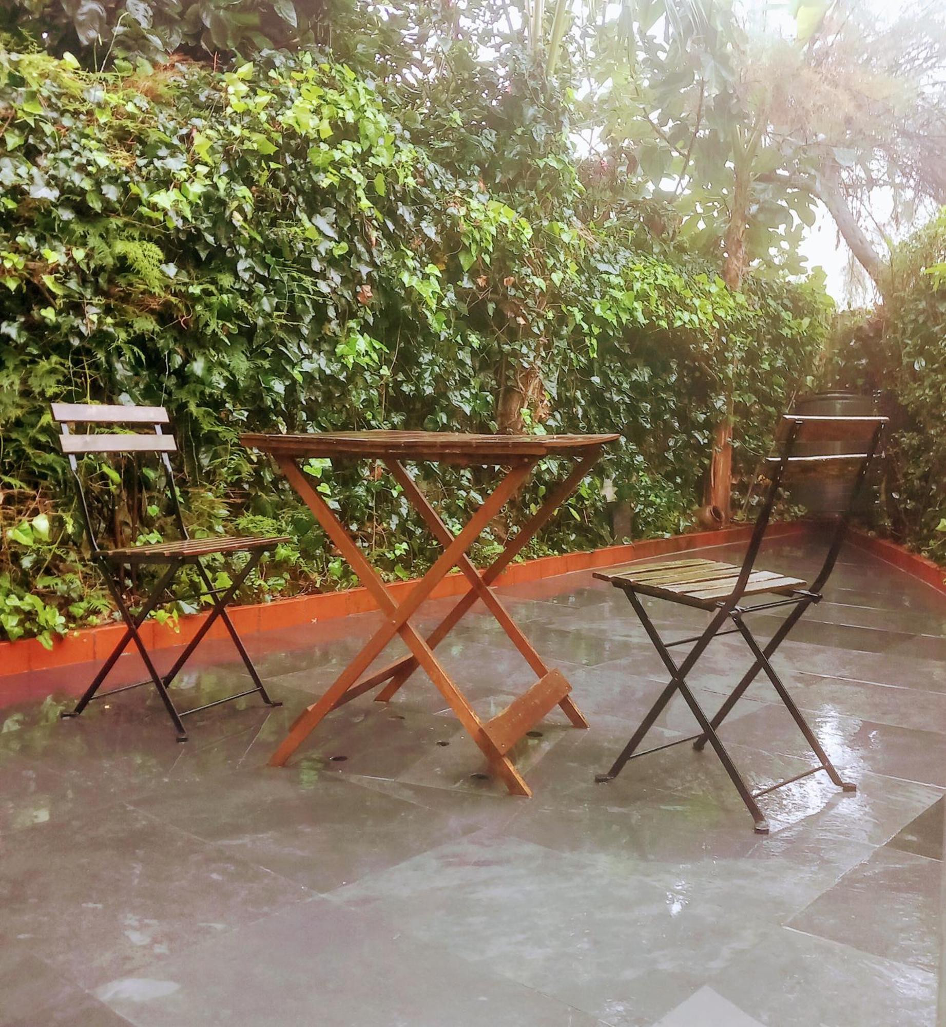 Apartment With Private Garden Porto Eksteriør bilde